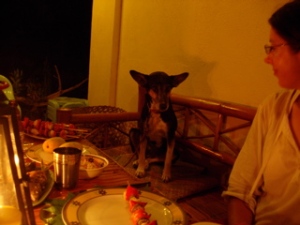 Dinner at Andreas' with Hannah & Shiva the dog. Photo: R&J Meyer